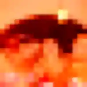 Anna, femme de 41 ans cherche rencontre cougar à Ambert