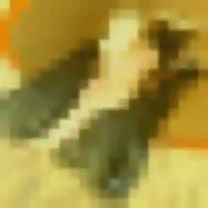 rencontre cougar à Apt : photo de Ursula, 24 ans - accès libre