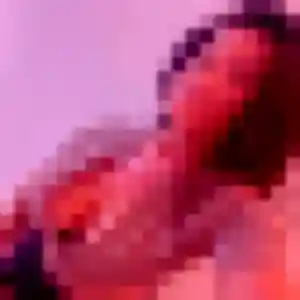 Photo exclusive de Rym, 20 ans à Auray - rencontre sans lendemain