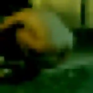 Elise (39 ans) à Aureilhan cherche une rencontre aujourd'hui