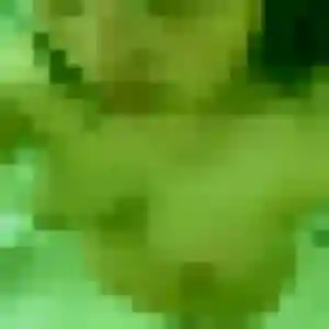 Dina, 43 ans, en ligne à Beausoleil pour une rencontre coquine