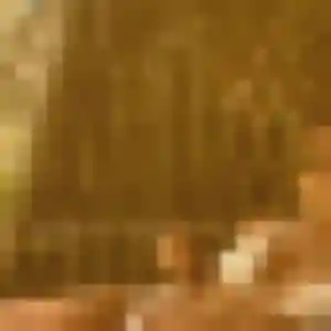 Profil de Idalina à Bon-Encontre (36 ans) - rencontre cougar anonyme