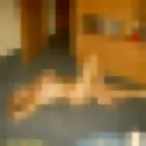 Charmante Wanda, 43 ans à Bonneuil-sur-Marne - la contacter