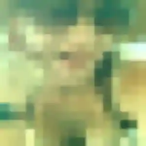 Garance (35 ans) à Bormes-les-Mimosas cherche une rencontre rapidement