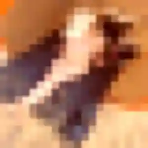Ariane, 20 ans, en ligne à Calais pour une rencontre coquine