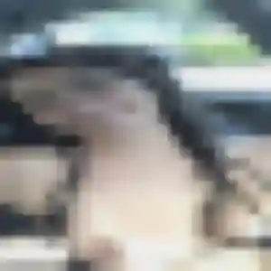 Bernadette, femme de 21 ans propose rencontre cougar à Canéjan