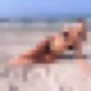 Sexy Delia, 41 ans à Capesterre-Belle-Eau - voir sa photo