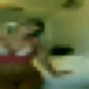 Belle Soraya, 40 ans à Carmaux - la contacter