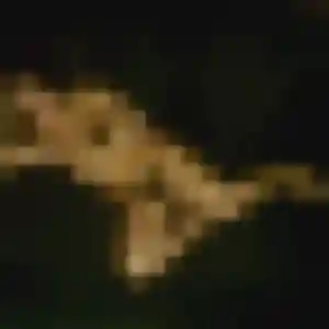 Photo sexy de Magalie, 38 ans à Caudebec-lès-Elbeuf - rencontre coquine