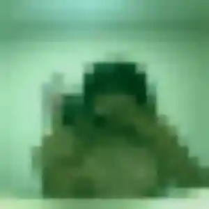 Nadia, femme de 32 ans cherche rencontre cougar à Chalon-sur-Saône