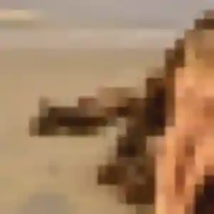 Leonore, 38 ans, cherche un rencontre cougar à Champagne-sur-Oise