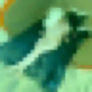Janine, femme de 44 ans veut rencontre cougar à Choisy-le-Roi
