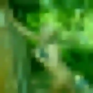 Rym (39 ans) à Claye-Souilly attend un rencontre cougar aujourd'hui