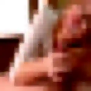 rencontre cougar à Courrières : photo de Orane, 33 ans - sans engagement