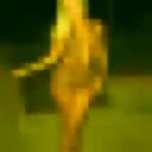 Photo de Thais à Cuincy (24 ans) - rencontre cougar discret