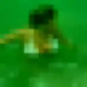 Contacte Prisca, 31 ans à Digoin gratuitement