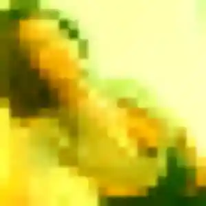 Apolline de Douarnenez, 44 ans - rencontre cougar discret
