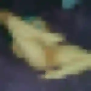 Viviane, fille de 19 ans cherche rencontre cougar à Eschau
