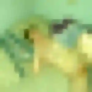 Photo privée de Marie-Pierre, 32 ans à Fillière - rencontre coquine