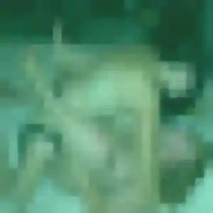Photo privée de Lamia, 30 ans à Fonsorbes - rencontre coquine