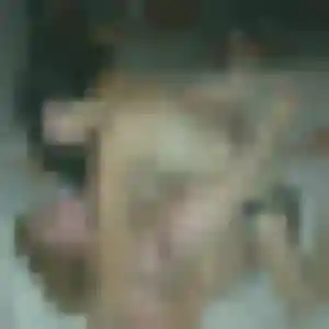 Rejoins Henriette, 39 ans à Fosses gratuitement