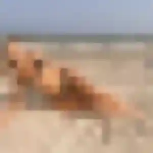 Paloma, 36 ans, connectée à Fréjus pour une rencontre coquine