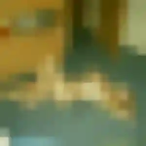 Rejoins Helena, 28 ans à Gouesnou en privé