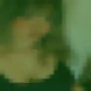 Imane, 37 ans, dispo pour rencontre cougar à Guipavas