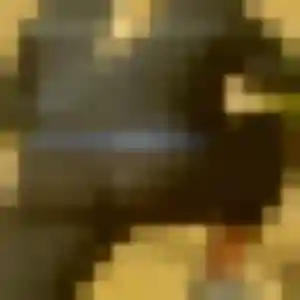 Photo perso de Elvire, 29 ans à Hem - rencontre coquine