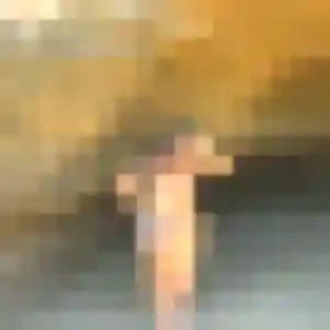 Alessandra, 42 ans, disponible à Houplines pour une rencontre coquine