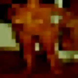 Photo de Zara à La Salvetat-Saint-Gilles (44 ans) - rencontre cougar sans inscription