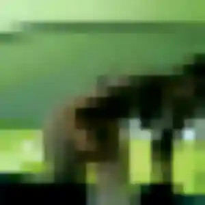 Lamia, femme de 35 ans propose rencontre cougar à Labruguière