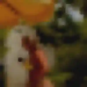 Alexandra (38 ans) à Le Malesherbois propose un rencontre cougar aujourd'hui