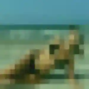 Photo exclusive de Emilie, 19 ans à Le Pontet - rencontre coquine