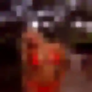 Sexy Alix, 31 ans à Les Trois-Îlets - la contacter