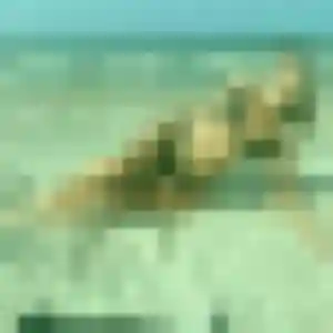 Margot, 42 ans, disponible à Lieusaint pour un rencontre cougar