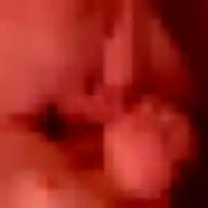 Découvre Eleonore, 36 ans à Livarot-Pays-d'Auge en privé