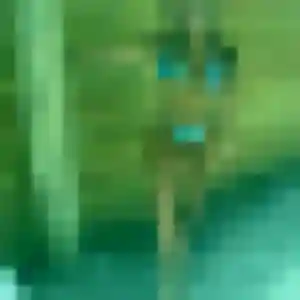Charmante Marie-Jose, 33 ans à Loon-Plage - voir sa photo