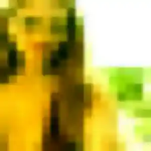 Photo privée de Henriette, 44 ans à Lorient - rencontre coquine
