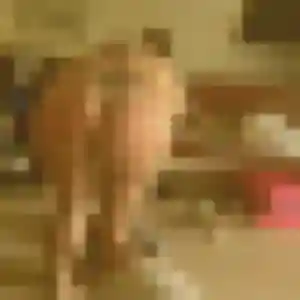 Clara de Lucciana, 38 ans - rencontre cougar sans prise de tête