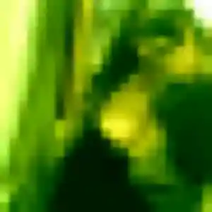 Profil de Gaelle à Luynes (36 ans) - rencontre cougar gratuit