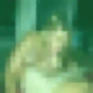 Cassandre, 41 ans, connectée à Mainvilliers pour une rencontre coquine