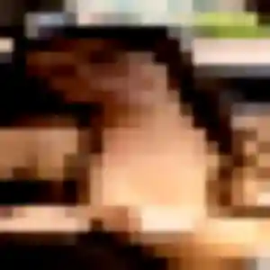 Photo exclusive de Fleur, 19 ans à Marange-Silvange - plan discret