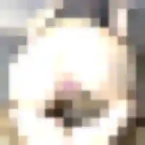 Photo exclusive de Marilou, 39 ans à Marck - plan discret