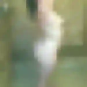 Josiane (36 ans) à Mériel propose un rencontre cougar rapidement