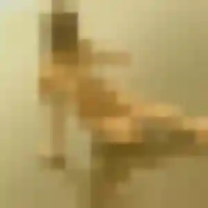 Photo de Alice à Meximieux (34 ans) - rencontre cougar gratuit