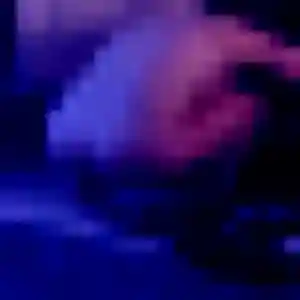 Paloma, fille de 37 ans cherche rencontre cougar à Moëlan-sur-Mer