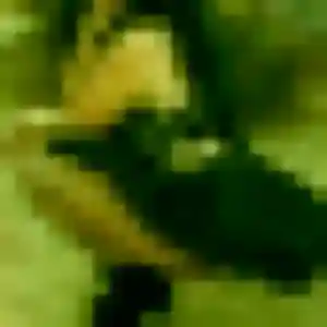 Phoebe, 27 ans, dispo pour rencontre cougar à Moulins