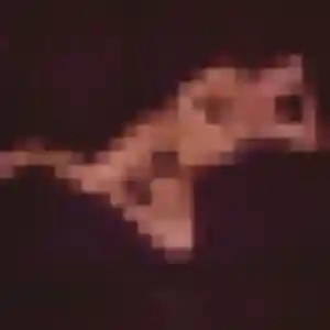 Judith, 37 ans, cherche un rencontre cougar à Pontchâteau