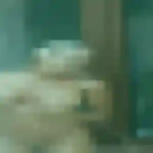 Sexy Ibtissam, 28 ans à Pornichet - la contacter